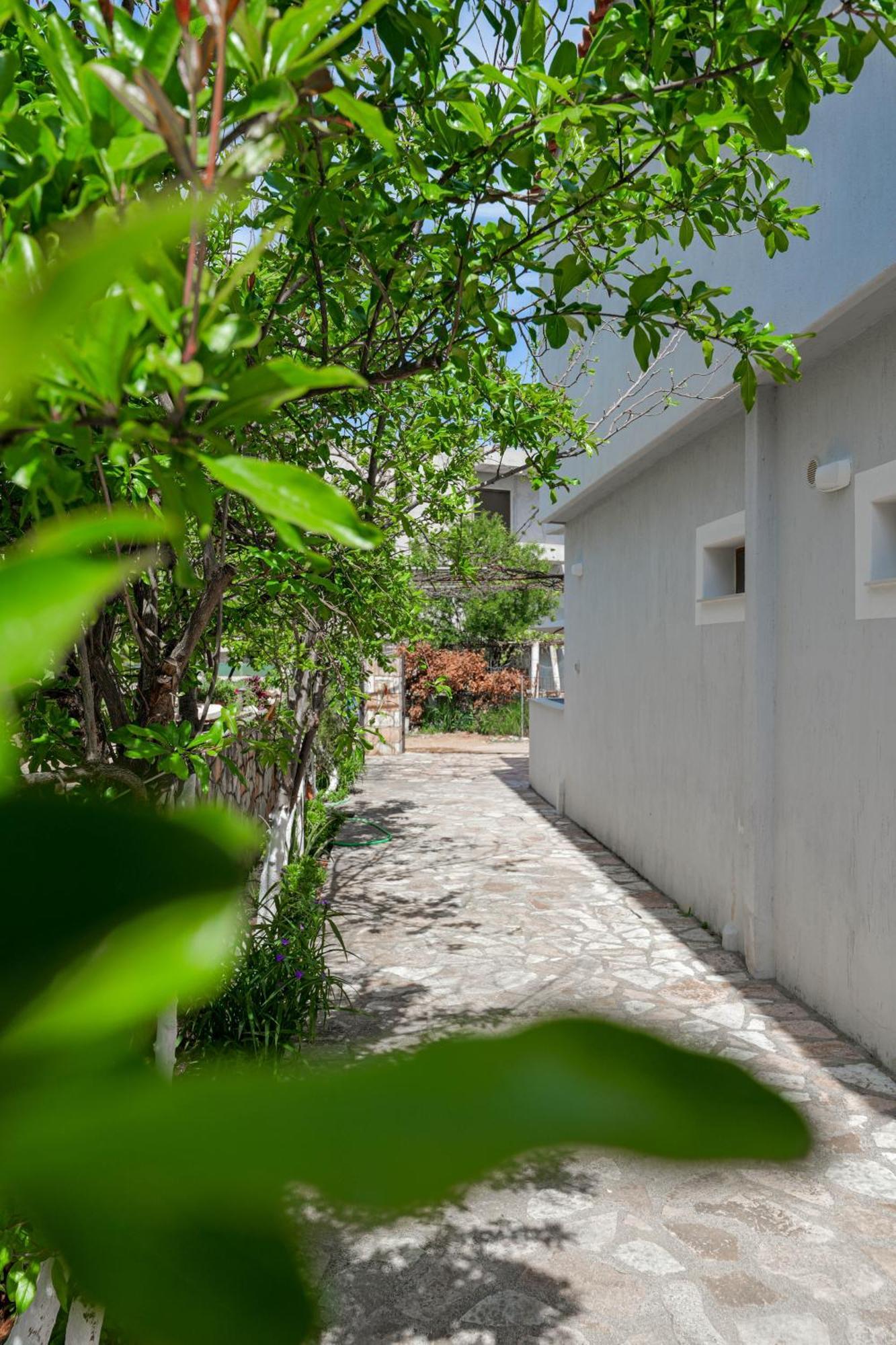 Guesthouse Moonlight Downtown 卡萨米尔 外观 照片